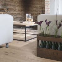 10 Rustic Ivory Oak Deluxe Collection By Par-ky