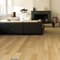 14 European Oak By Par-ky