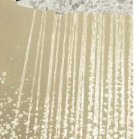 21 Detail Of Grohe Rainshower