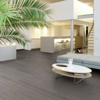 01 Mystery Oak Deluxe Collection By Par-ky