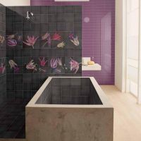 CATALOGO VAN DER HILST 20